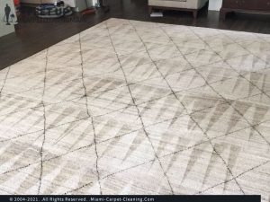 gCarpetSteamCleaning9 1